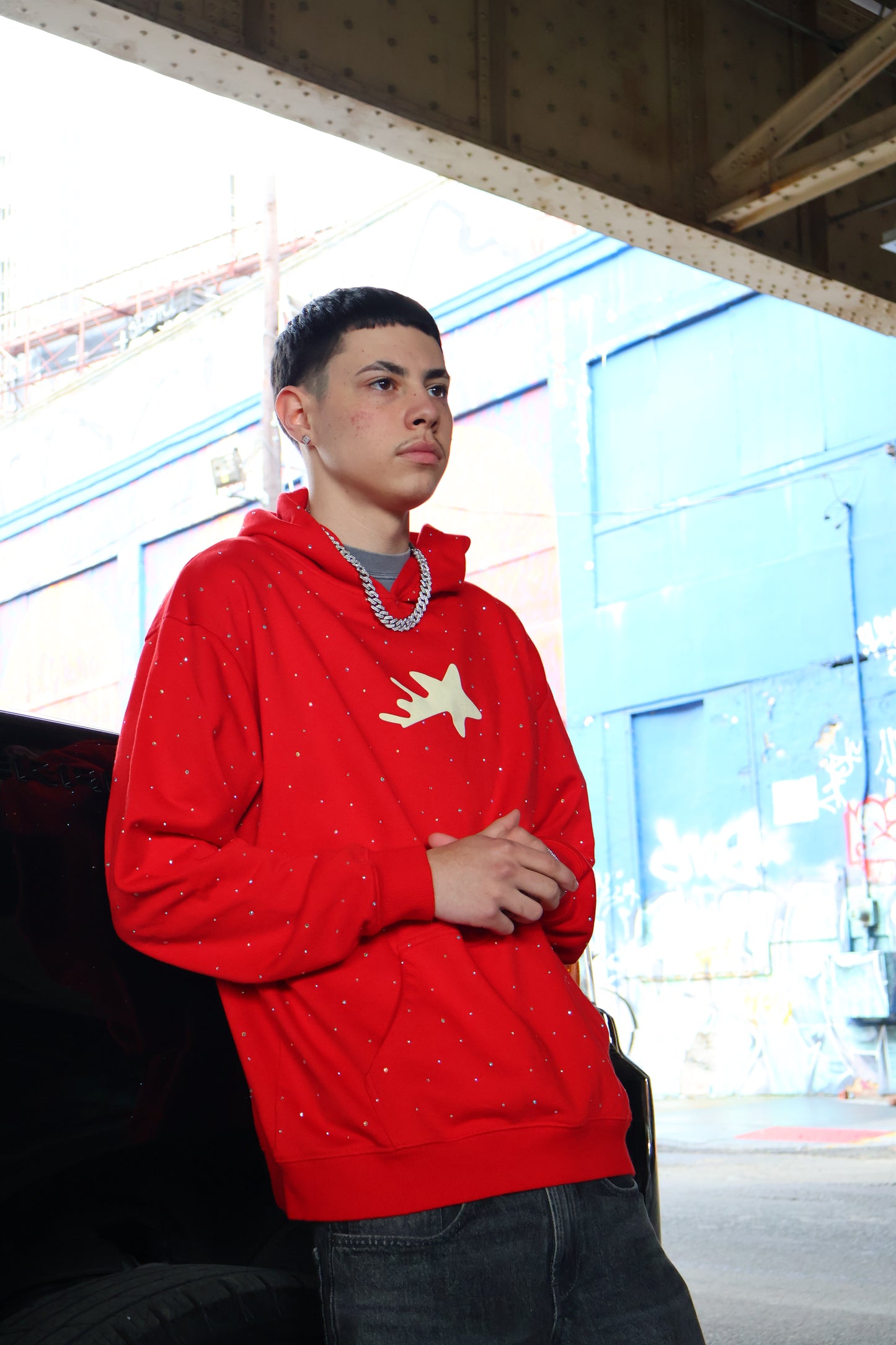 Chubbs Hoodie